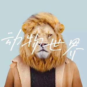 动物世界