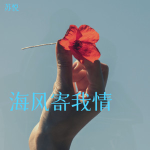 海风寄我情