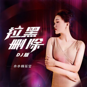 拉黑删除 (DJ九天版)封面