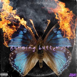 Burning butterfly (Explicit)