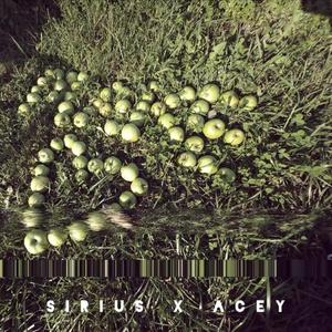 Make Love(feat. Acey)