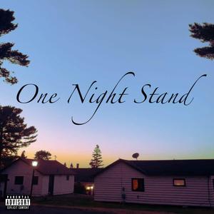 One Night Stand (Explicit)