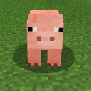 Pigs from Minecraft (Explicit)