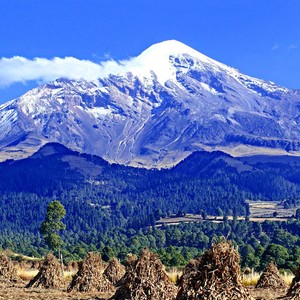 Dormir y eternamente soñar.