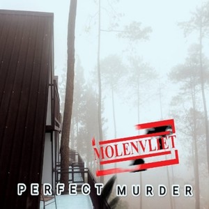 PERFECT MURDER