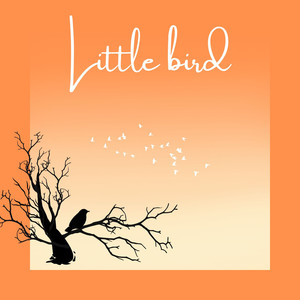 Little Bird