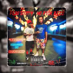 Havin It (feat. No Pick Bizz) (Explicit)