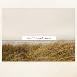 Should Have Known(feat. Jamie Downey)