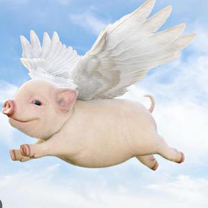 Pigs Fly (feat. Wilt) (Explicit)