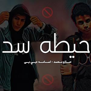 حيطه سد