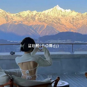 盗心贼 (卡点舞dj)