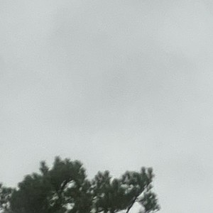 Wyfy - wayside ii
