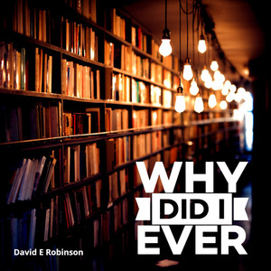 Why Did I Ever (Radio Edit)