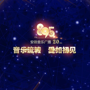 唱响我的895