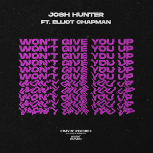 Won't Give You Up (Original Mix)