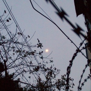 得吃小曲 (鼠鼠版)