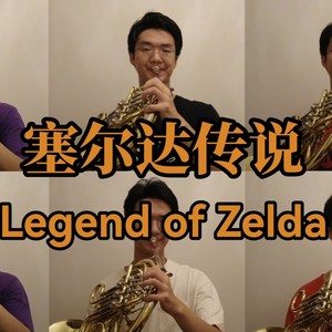 塞尔达传说 荒野之息 Kass's Theme (Demo)