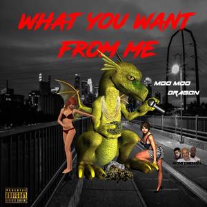 What You Want From Me (Explicit)