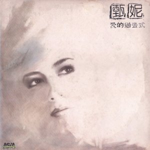 何必再见 - 甄妮封面