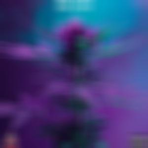 Home Grown (Explicit)