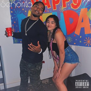 Señorita (Explicit)