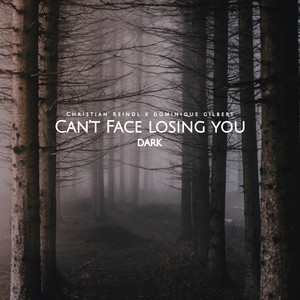 Can't Face Losing You(Dark)