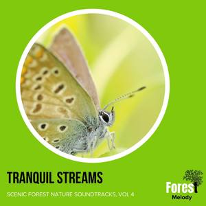 Tranquil Streams - Scenic Forest Nature Soundtracks, Vol.4