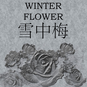 雪中梅