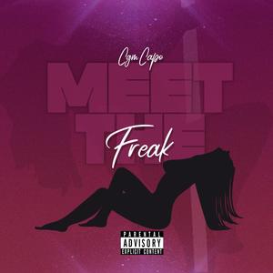 Meet The Freak (Explicit)