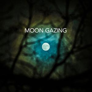 Moon Gazing