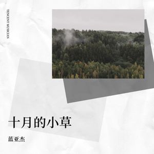 十月的小草
