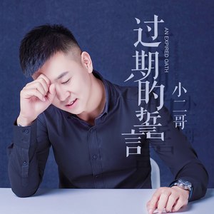 过期的誓言 (Dj何鹏版|DJ版)