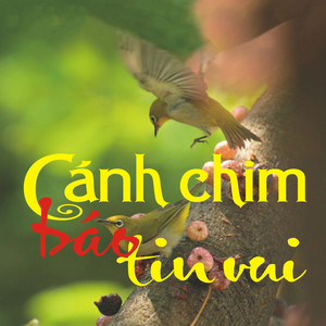Cao Bằng quê hương tôi