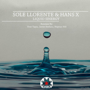 Liquid Sinergy (Javier Stefano Remix)