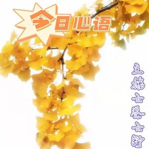 云卷云舒-985声工场 - 读书是一种享受