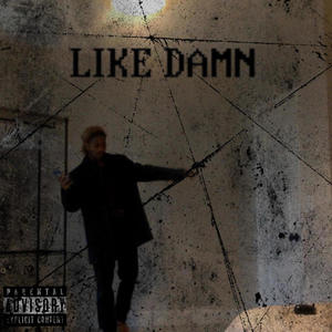 Like Damn (feat. PNE Playboy) (Explicit)