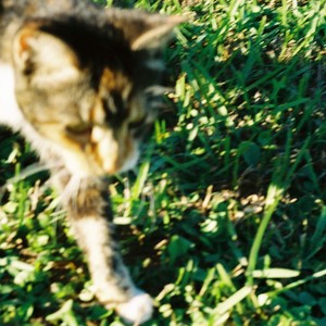 The Problem (Explicit)
