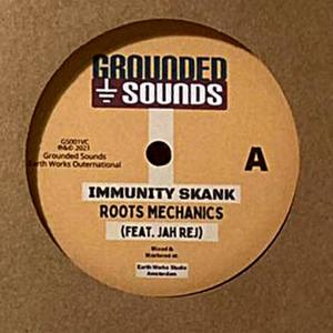 Immunity Skank(feat. Jah Rej)