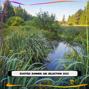 Sublime Trance Dance (Pitch-9)