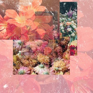 Ai Mà Biết Được (feat. Calthutoski)