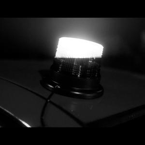 SIRENE RMX (feat. Shelly Tarocco) (Explicit)