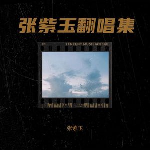 天使的偏执封面