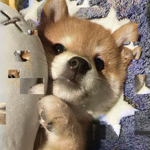 torn (remix|Explicit)