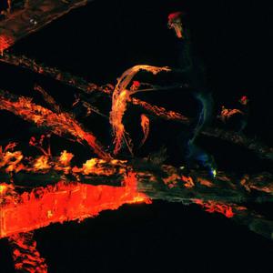 NO CHOICE (feat. Casual Affairs)