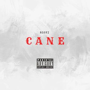 CANE (Explicit)