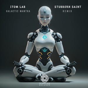 Galactic Mantra (Stubborn Saint Remix)