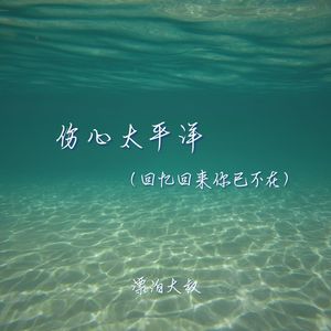 伤心太平洋（回忆回来你已不在）