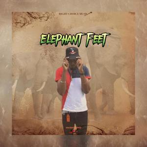 Elephant Feet