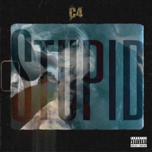 Stupid (Explicit)