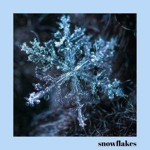 Snowflakes